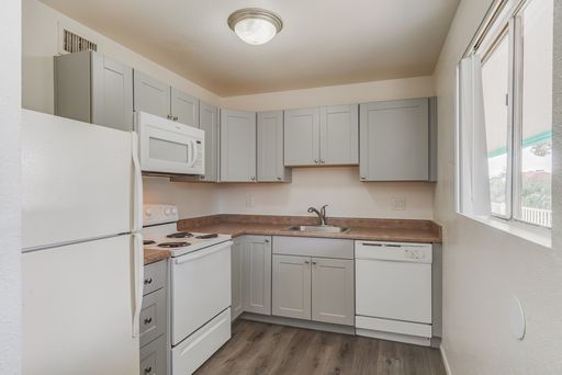 $895- Gorgeous 2 Bed / 1 Bath Apartment near North Mountain Ave & E Roger Rd Available! – photo 1