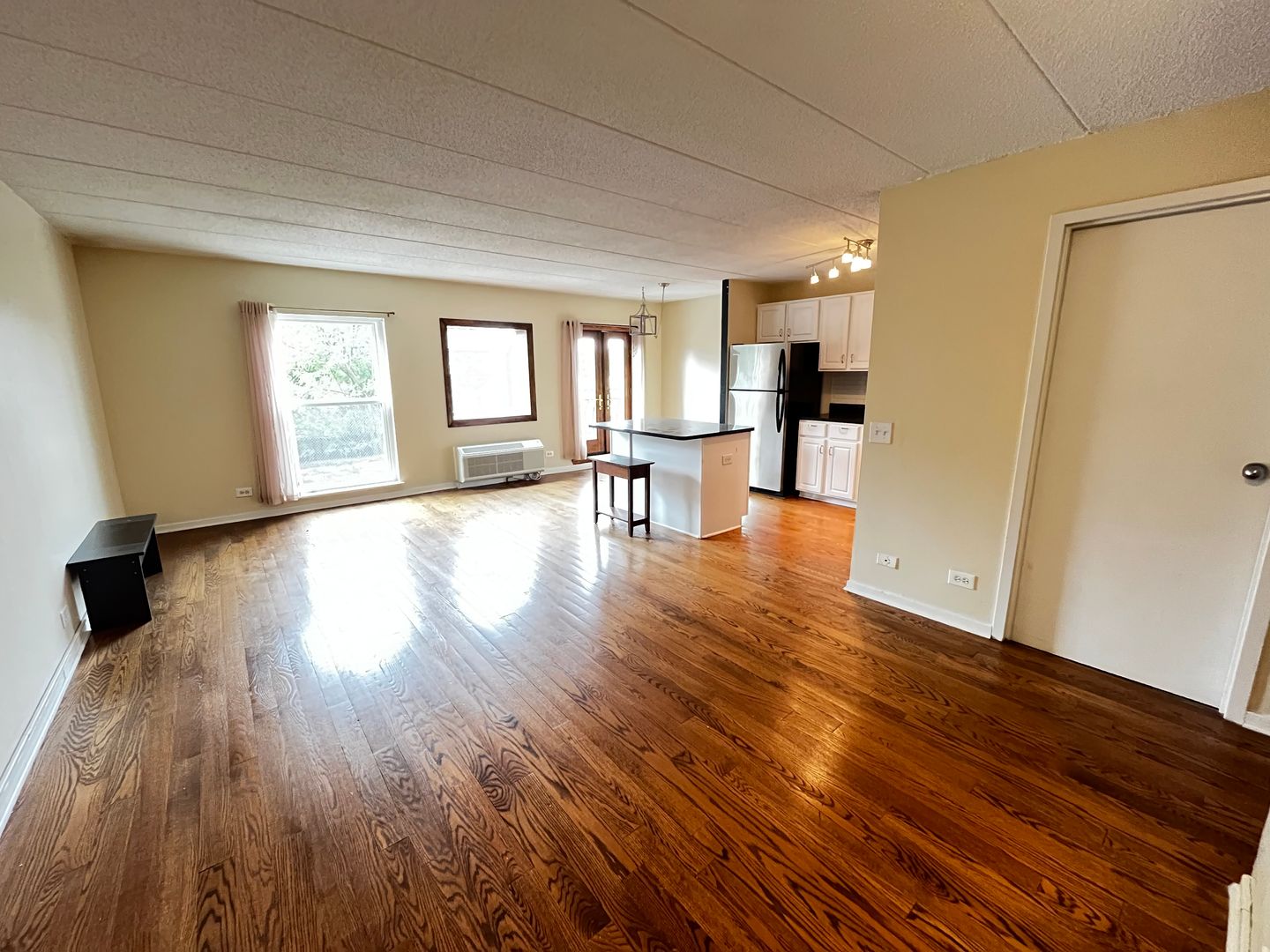 Chicago Apartment: 711 W Gordon Terrace