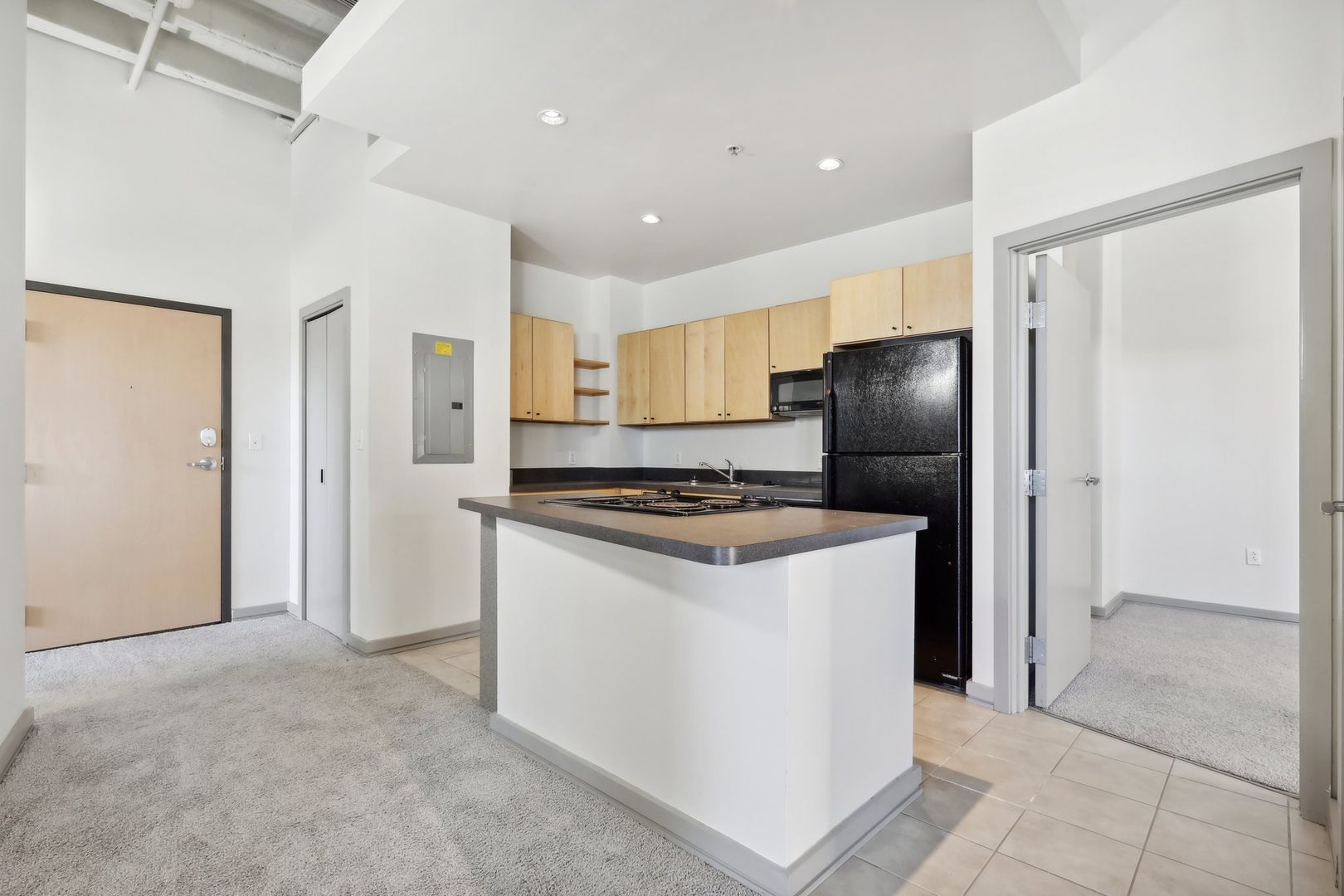 Cleveland Apartment: 2010-2020 Euclid Avenue