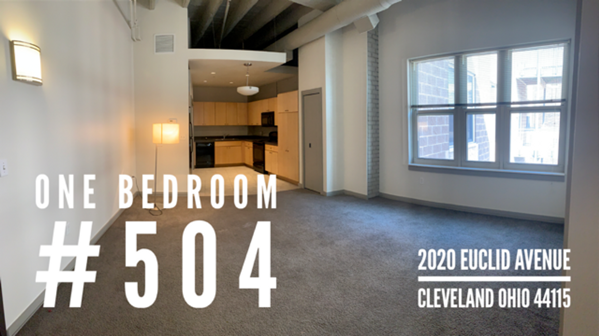 Cleveland Apartment: 2010-2020 Euclid Avenue