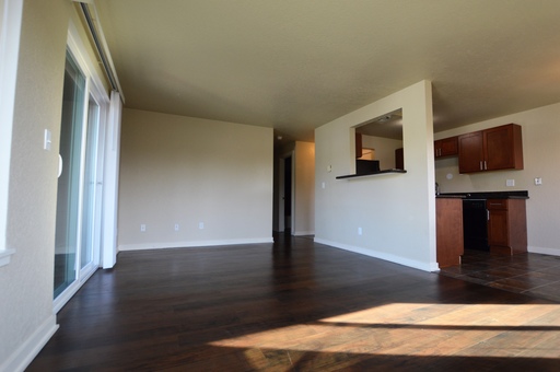 Spacious 2 -bed unit in Ballard! 6 weeks FREE RENT! – photo 1