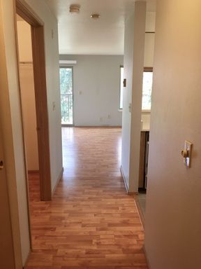 Spacious Studio Apartment w/ Private Balcony! 6 weeks FREE RENT! – photo 1