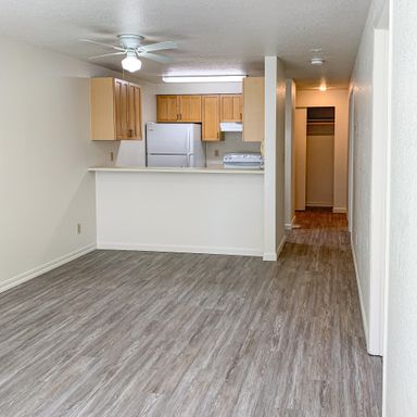Spacious and Bright 1 bedroom/1 bath - 6 weeks FREE RENT! – photo 1