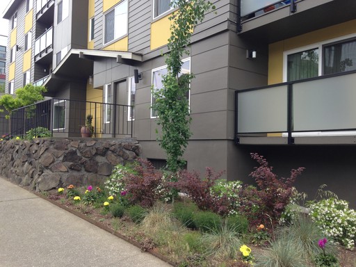 1 Bed 1 Bath Rental at 2405 NW 65th St - 201, Seattle, WA – photo 1