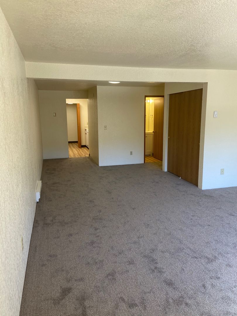 Seattle Apartment: 1314 Spring St