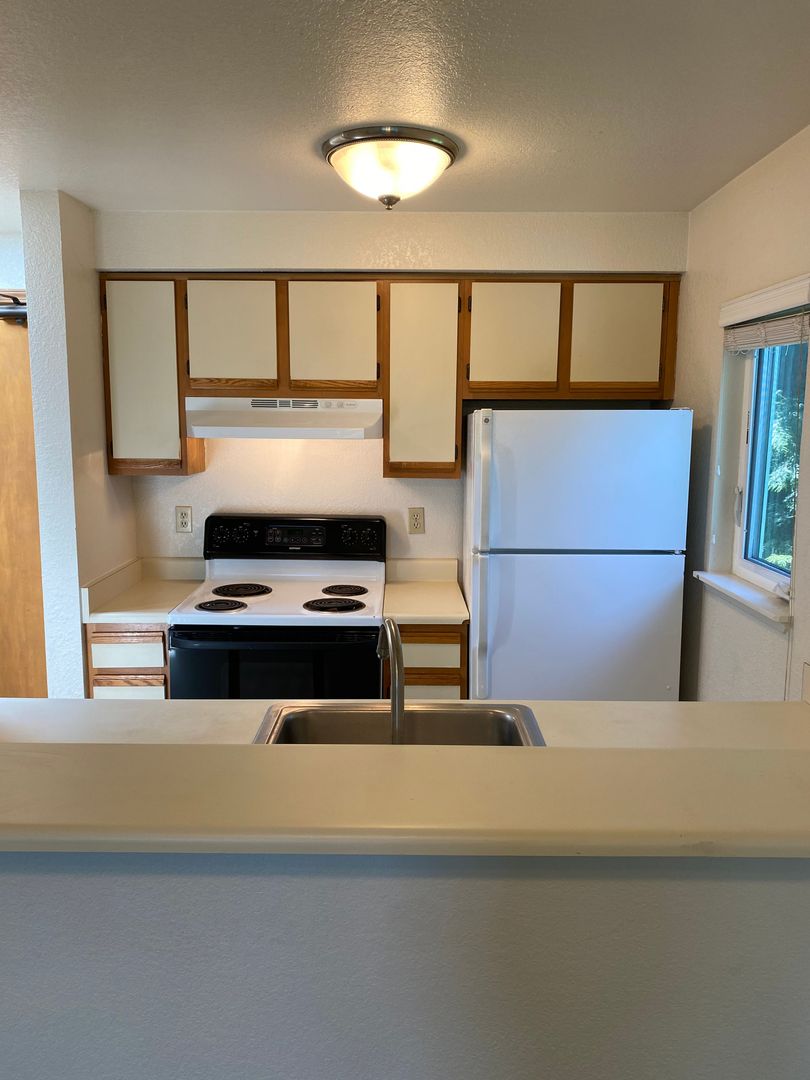 Seattle Apartment: 910 N 104th St