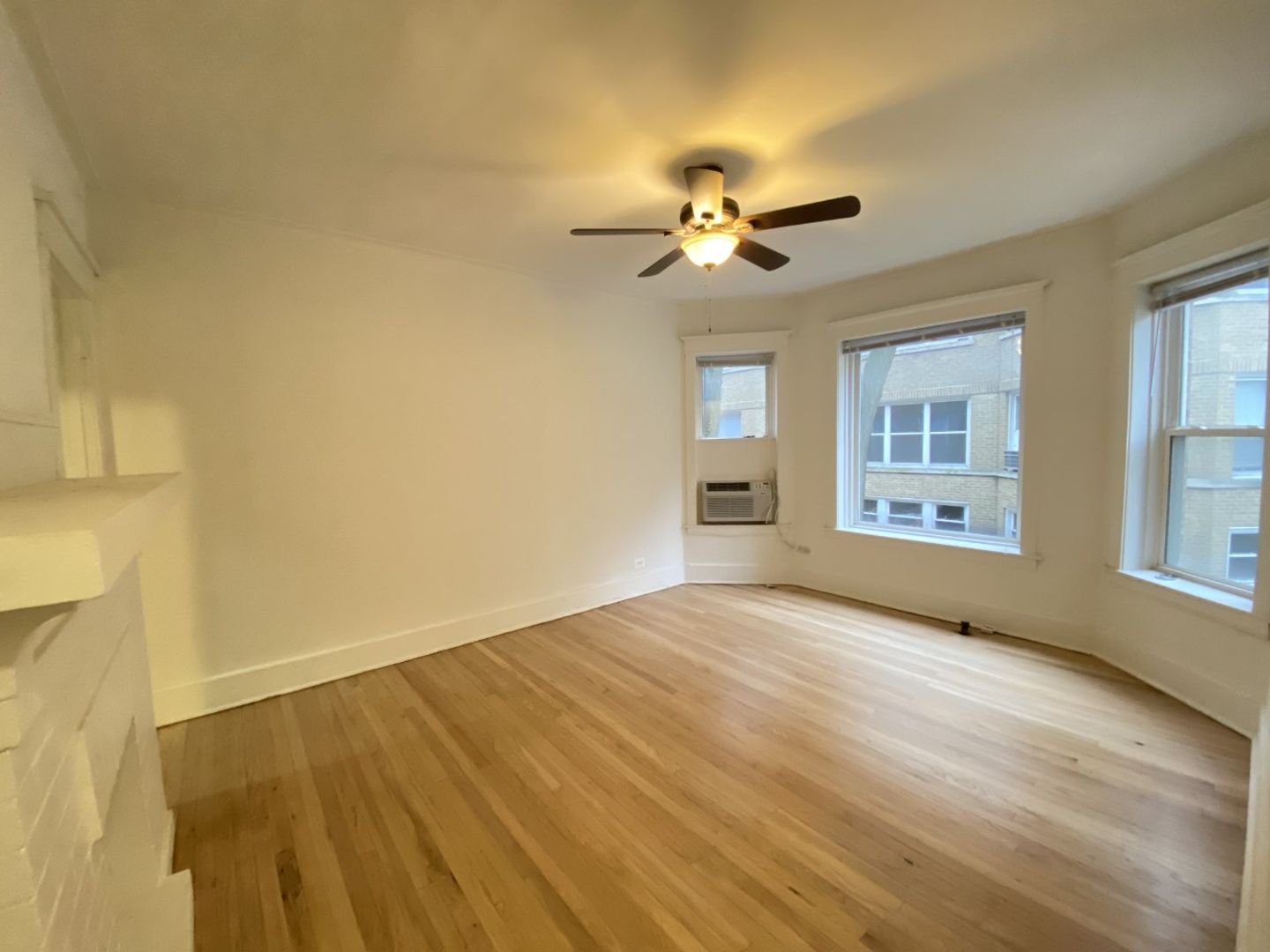 Chicago Apartment: 915 W Cornelia Ave