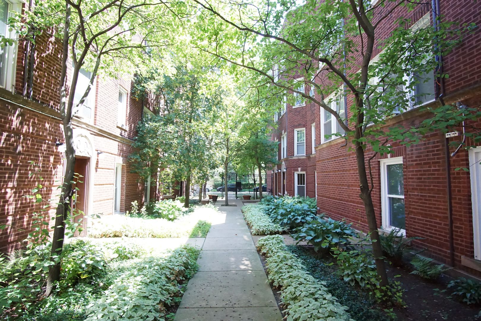 Chicago Apartment: 1900 W Farwell Ave