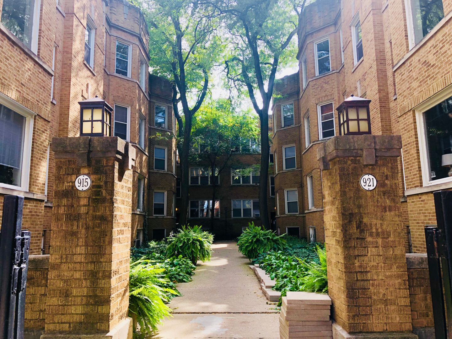 Chicago Apartment: 915 W Cornelia Ave