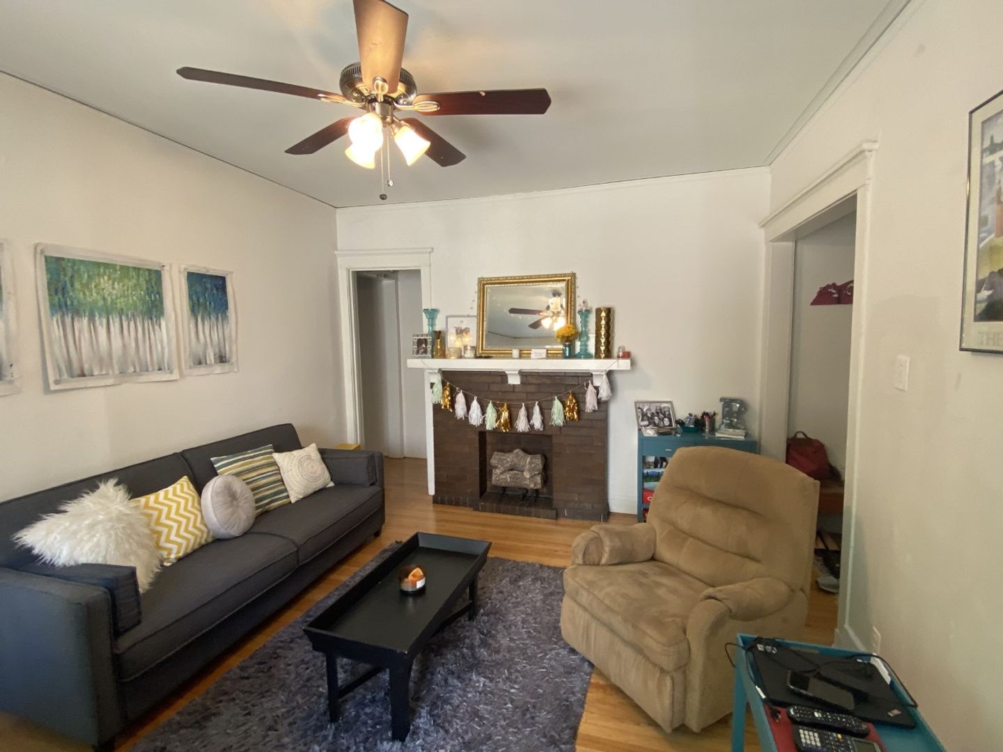 Chicago Apartment: 915 W Cornelia Ave