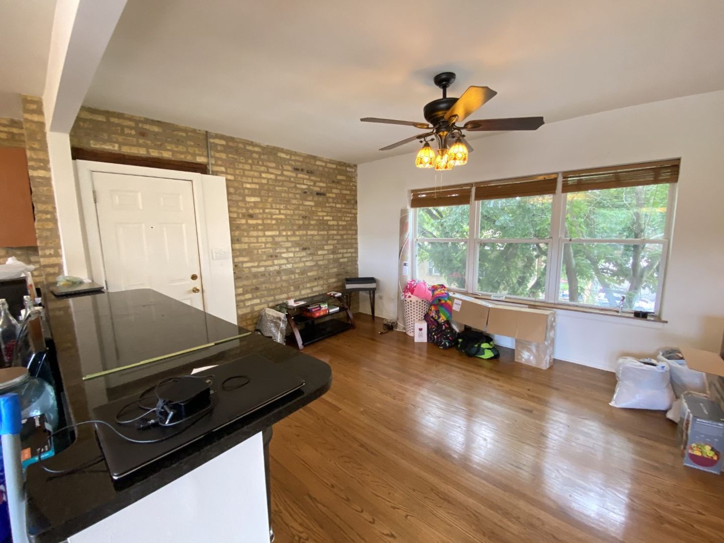 Chicago Apartment: 6144 N Hoyne Ave