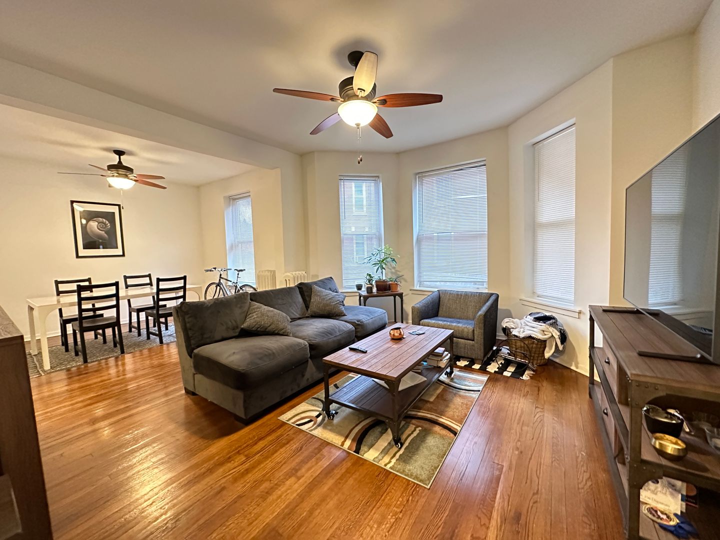 Chicago Apartment: 714 W Waveland Ave