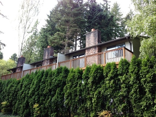 Quiet, Large 2 BR 1.5BTH Shoreline Convenient freeway access – photo 1