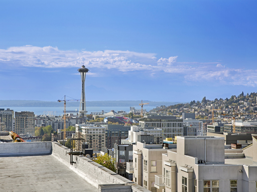 Urban Capitol Hill Apartment – photo 1