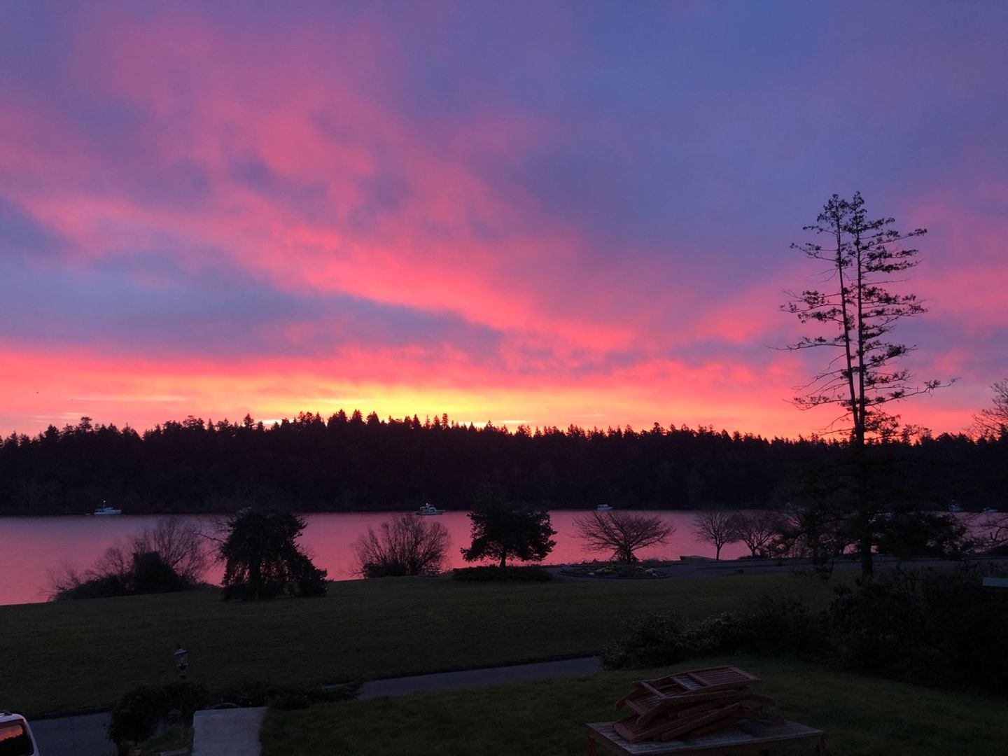 Seattle Apartment: 4915 Lake Wa Blvd