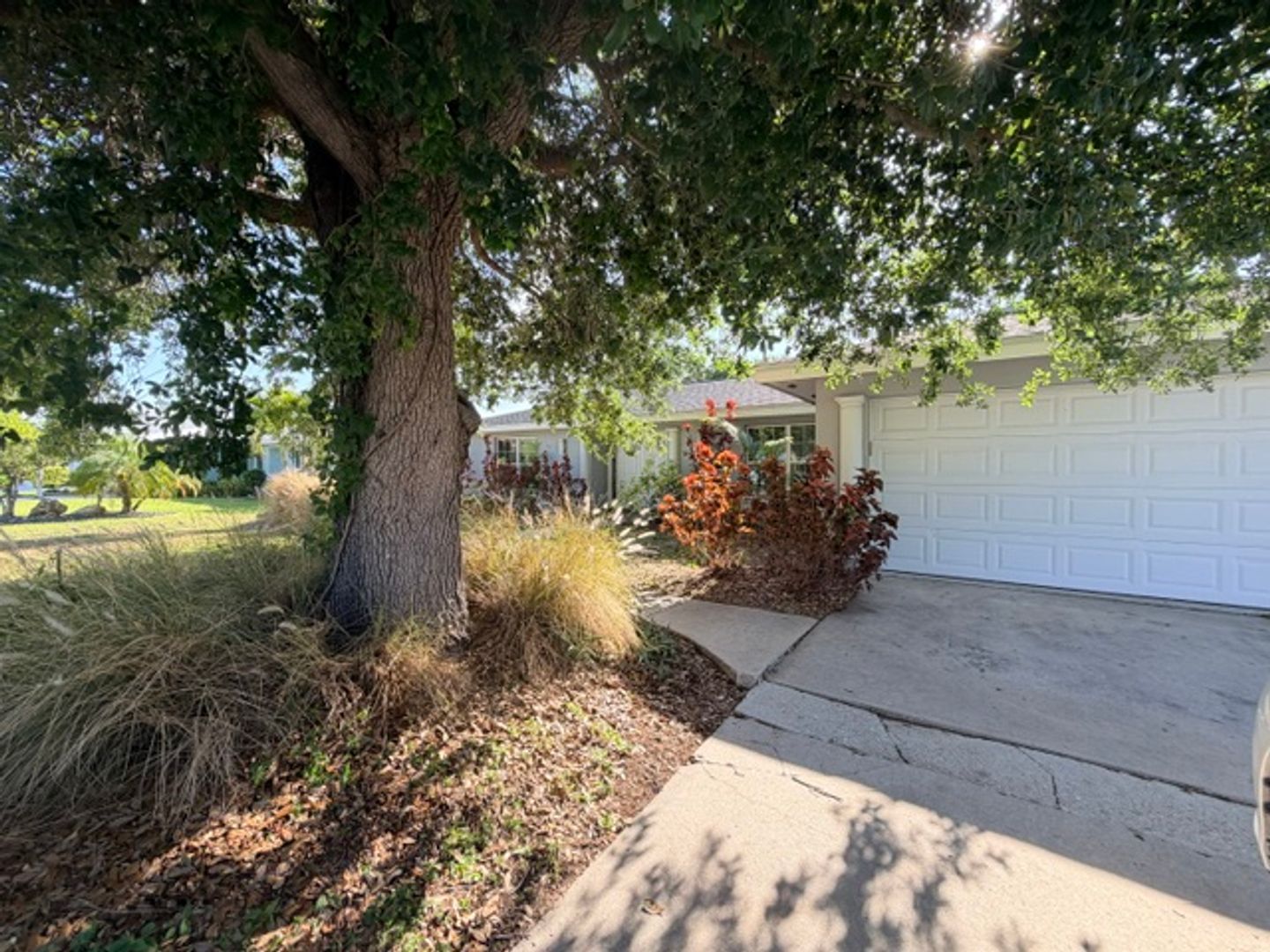 Cape Coral House: 5319 PELICAN BLVD