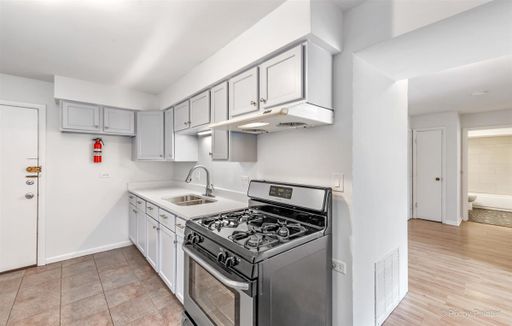 Spacious updated one bedroom apartment on a beautiful one-way tree-lined street in Rogers Park – photo 1