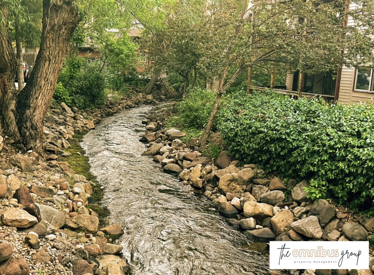 Boulder Apartment: 19th & Canyon