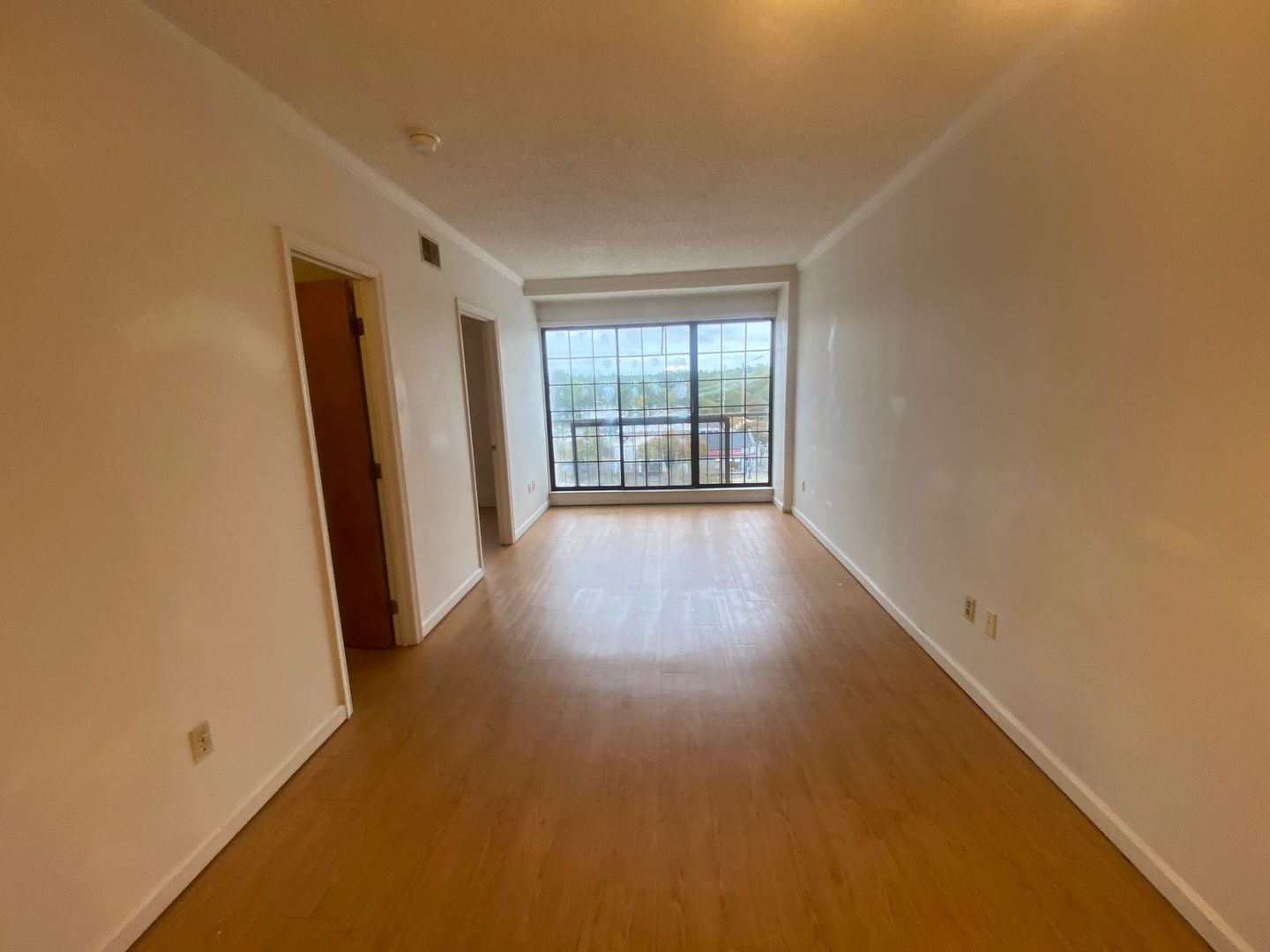 Columbia Condo: 2009 Greene Street