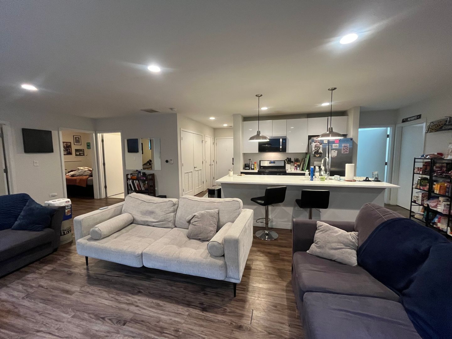 Chicago Apartment: 1045 W. Cornelia Ave