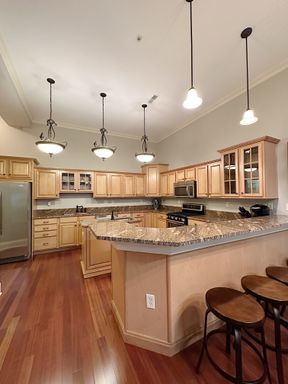 Huge Downtown Luxury Condo | 5 Minutes from Purdue – photo 1