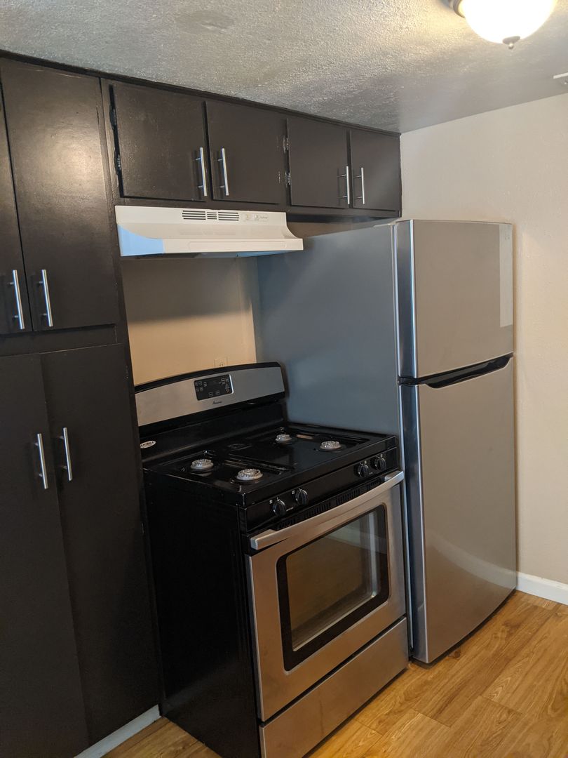 Denton Apartment: 2434 Louise Street