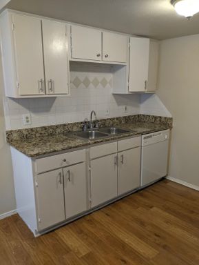 Renovated 1 Bed 1 Bath with Study Nook Near UNT – photo 1