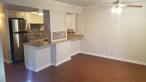 Renovated 2 Bed 1 Bath near UNT – photo 1