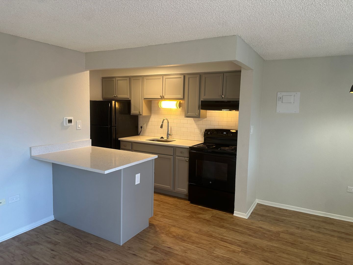 Denver Apartment: 161 S Emerson Street