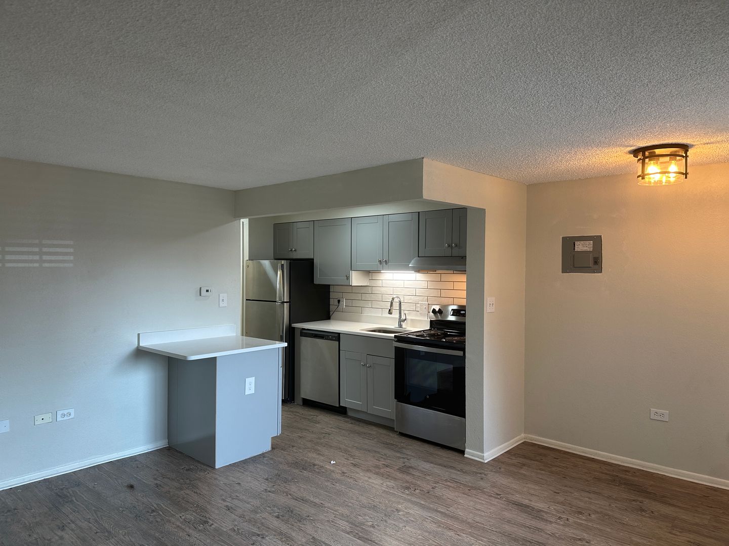 Denver Apartment: 161 S Emerson Street