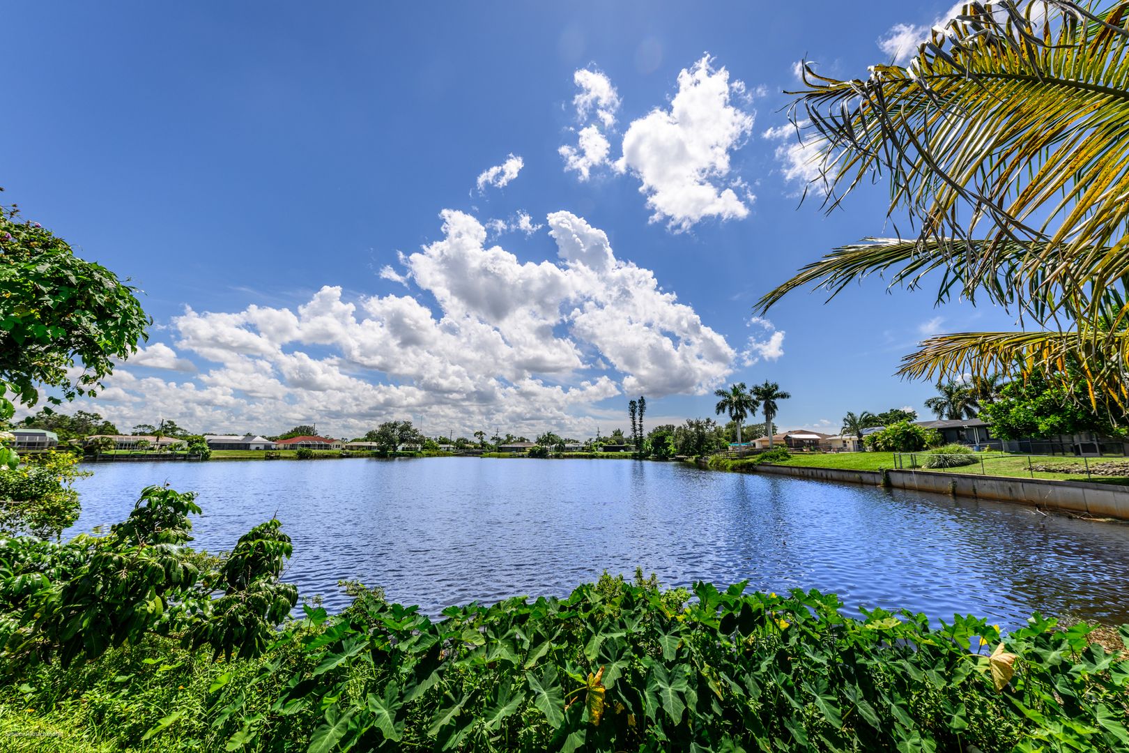 Port Charlotte House: 2498 Abscott St