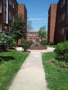 Historic Anacostia | 2bd 1bth| Hardwood Floors | Large Approx 800 sqft| Heat, Water, Electric Incl. – photo 1