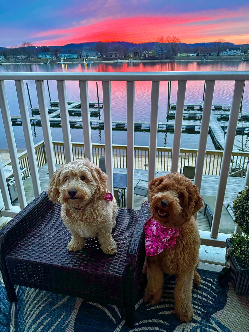 La Crosse Apartment: 403 Gillette Street