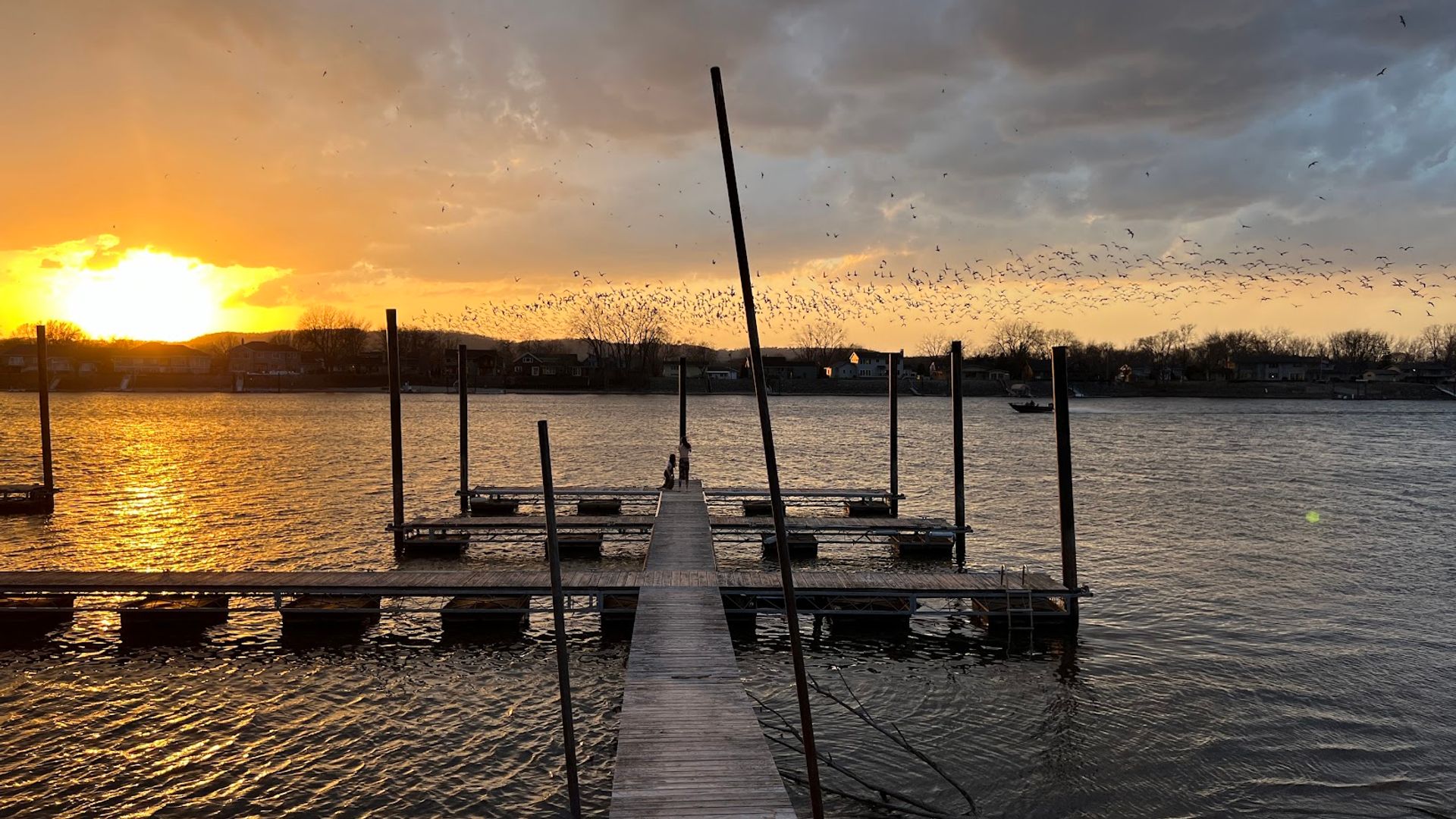 La Crosse Apartment: 403 Gillette Street