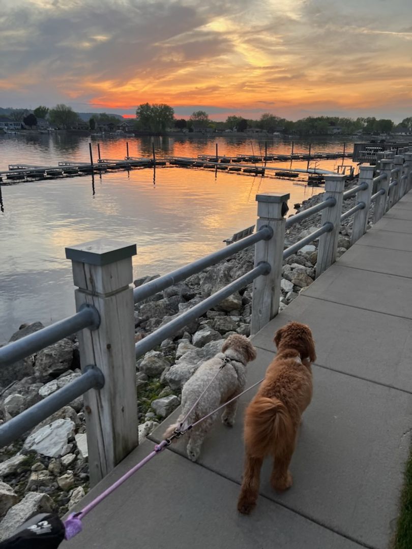 La Crosse Apartment: 403 Gillette Street