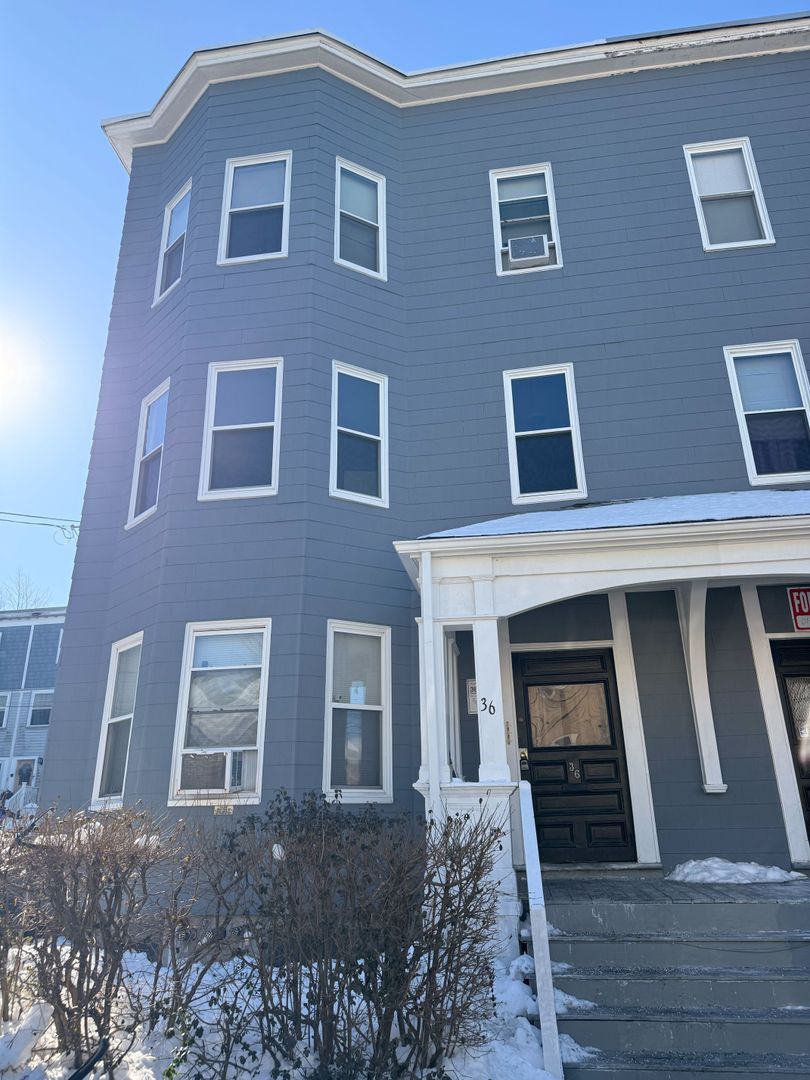 Roxbury Apartment: 36 Cobden Street