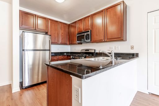Stunning South Loop One Bedroom Apartment – photo 1
