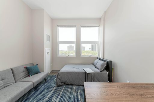 East View - South Loop Life! – photo 1