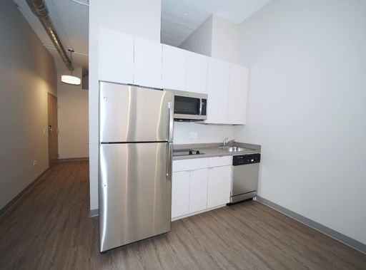 Junior 1 Bedroom - South Loop! – photo 1
