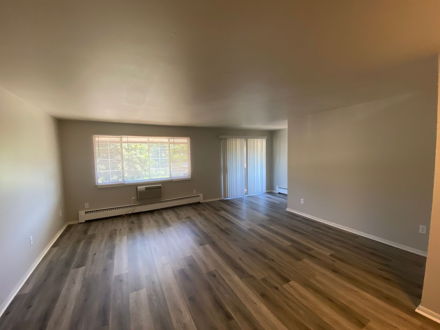 Appleton Apartment: 1211 George St