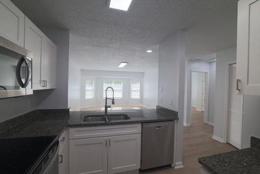 Renovated 4 Bedroom/4 Bathroom Apartments Full Units Available! – photo 1