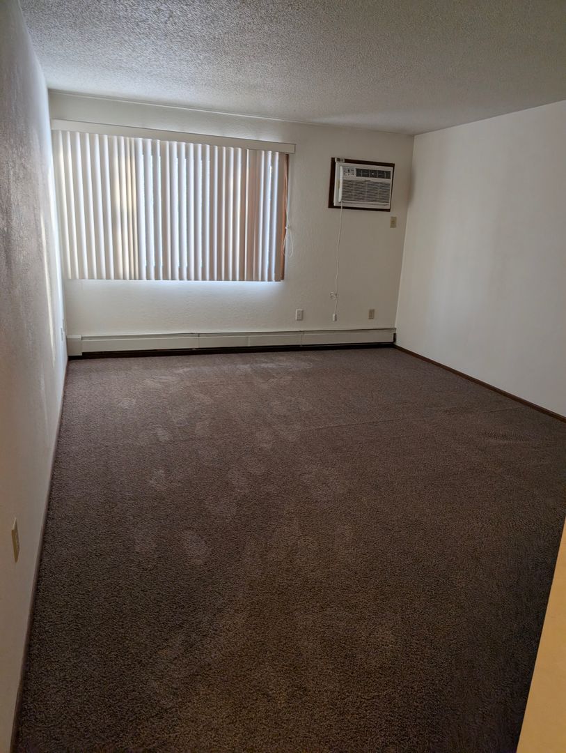 Cyrus Apartment: 315 E Main St