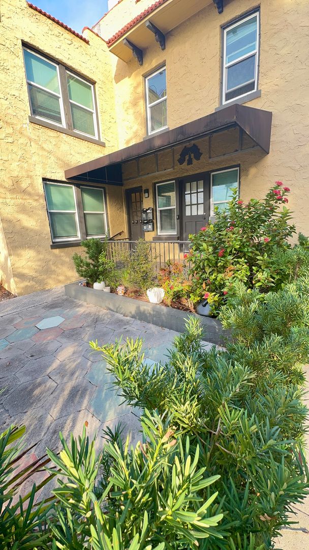 St. Petersburg Apartment: 425 3rd Street N