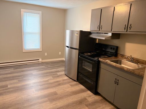 ALL ELECTRIC!!! Newly remodeled 1bd/1bth downtown