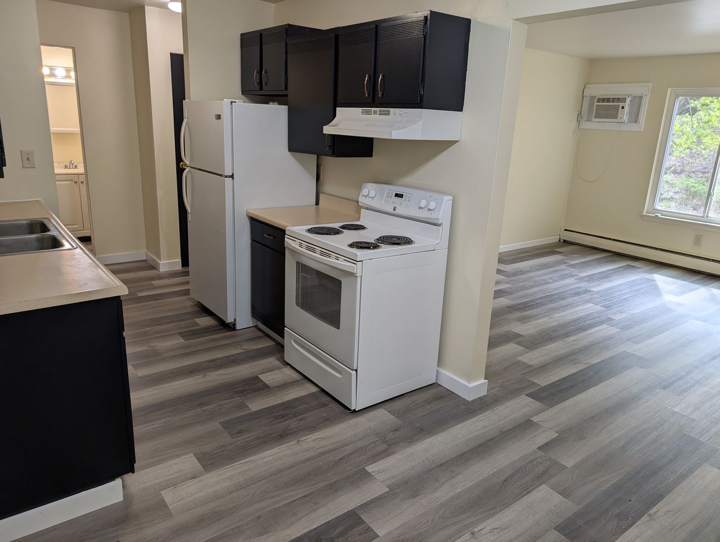 Rock Island Apartment: 1103 25th St