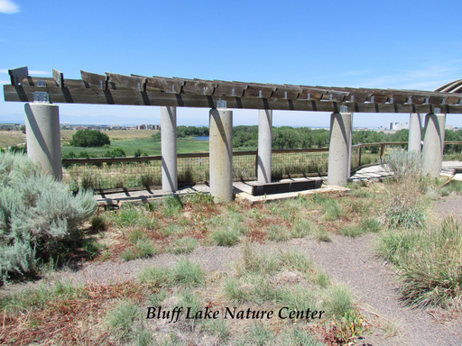 9944 MLK Blvd, Denver, CO 80238