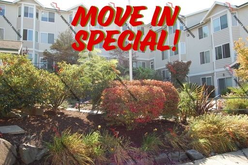 | R45E -A208 | $1195.00 a month + $135.00 flat rate utility surcharge for (W/S/G). *MOVE IN SPECIAL* – photo 1