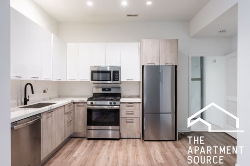 South Loop 3 Bed/2 Bath with Premium Kitchen and In-Unit Laundry! – photo 1