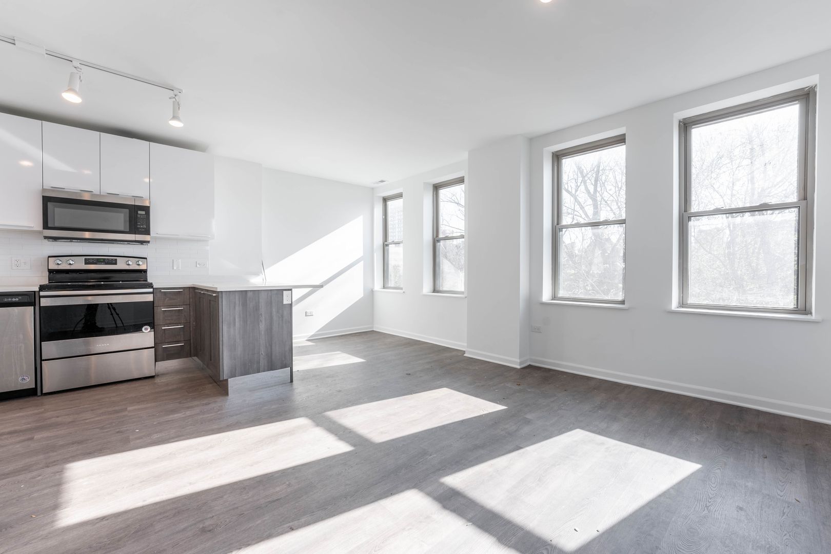 Chicago Apartment: 940 W Winona St. - 602