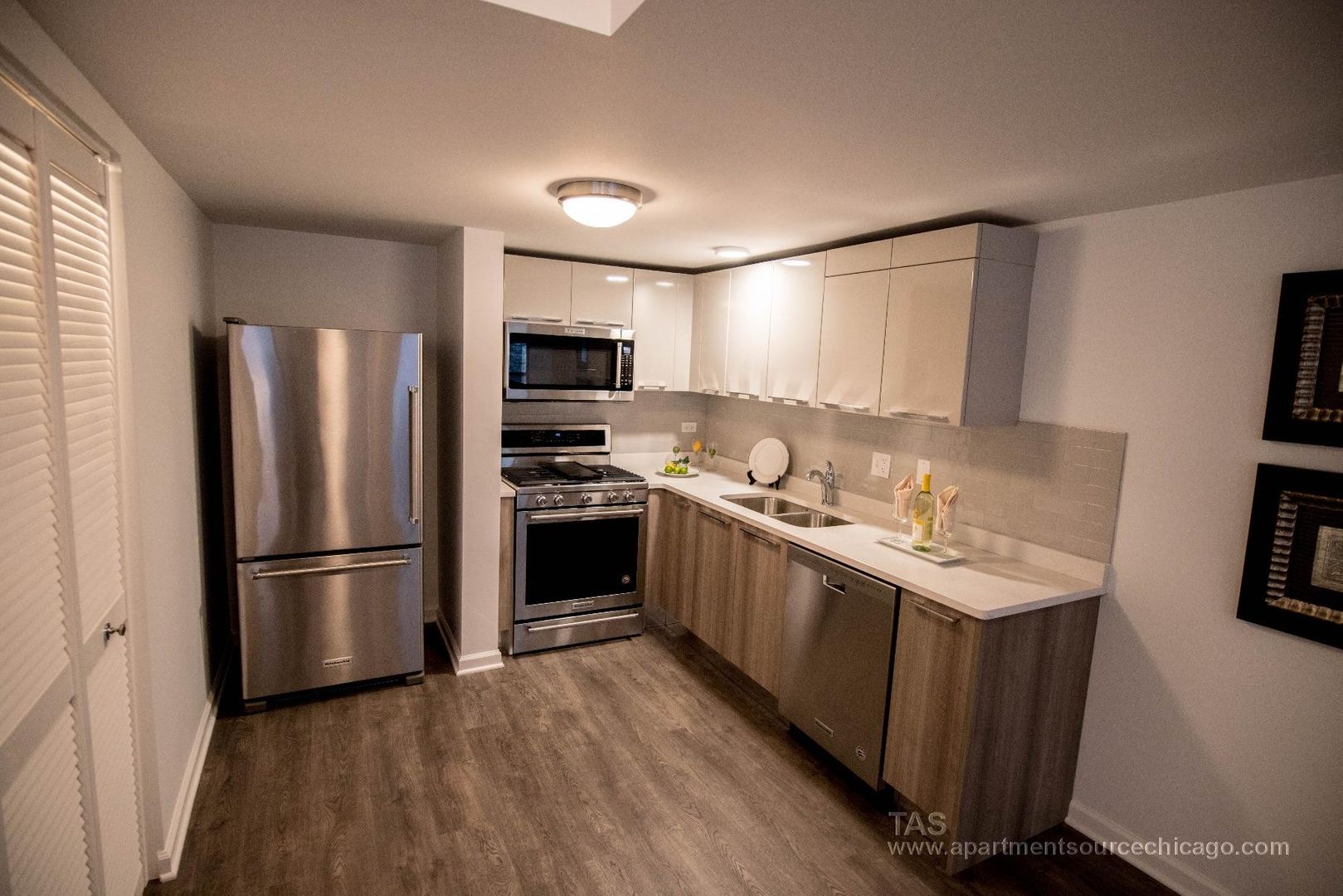 Chicago Apartment: 932 W Dakin St.